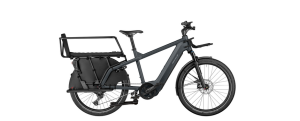 Riese&Müller Multicharger GT family / 47cm / grey: