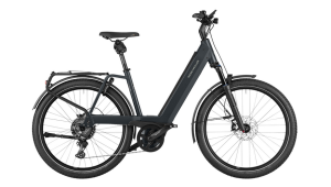 Riese&Müller Nevo4 GT touring / 51cm / grey: 750Wh